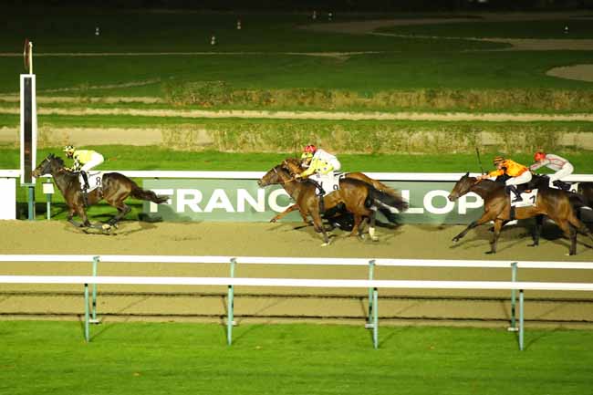 Photo d'arrivée de la course pmu PRIX DE LA HALLE AUX POISSONS à DEAUVILLE le Mercredi 4 décembre 2024