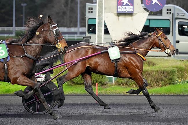 Photo d'arrivée de la course pmu PRIX NARQUOIS à PARIS-VINCENNES le Samedi 7 décembre 2024