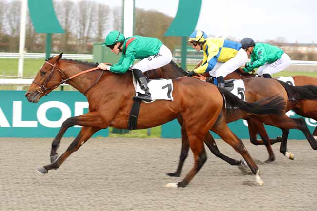 Photo d'arrivée de la course pmu PRIX DU ROND DU CHENE à CHANTILLY le Samedi 7 décembre 2024
