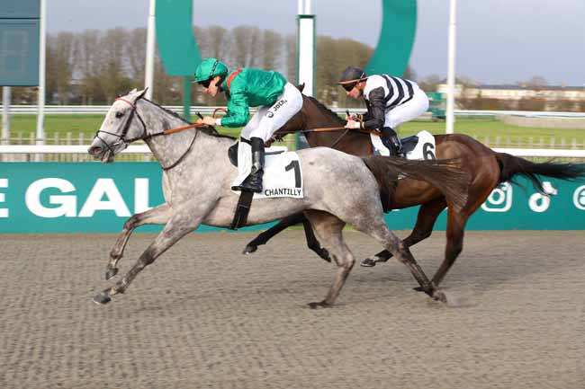 Photo d'arrivée de la course pmu PRIX DU ROND ALICANTE à CHANTILLY le Samedi 7 décembre 2024