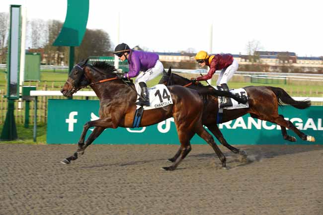 Photo d'arrivée de la course pmu PRIX DE LA FORET DE L'ISLE-ADAM à CHANTILLY le Samedi 7 décembre 2024