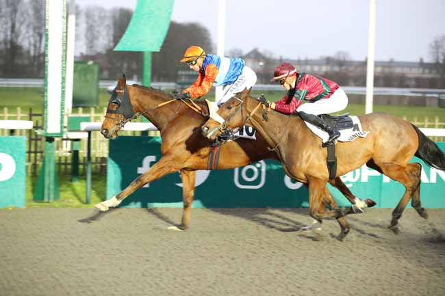 Photo d'arrivée de la course pmu PRIX DE LA FORET DE CARNELLE à CHANTILLY le Samedi 7 décembre 2024