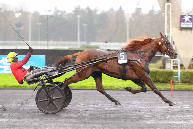Arrivée quinté pmu PRIX DU BOURBONNAIS-AMERIQUE RACES Q2 à PARIS-VINCENNES
