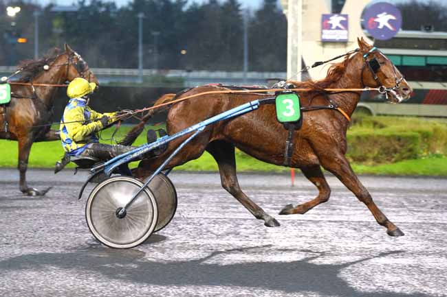 Photo d'arrivée de la course pmu PRIX DE CRECY-LA-CHAPELLE à PARIS-VINCENNES le Dimanche 8 décembre 2024