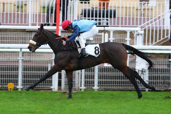Photo d'arrivée de la course pmu PRIX CHALET à AUTEUIL le Dimanche 8 décembre 2024