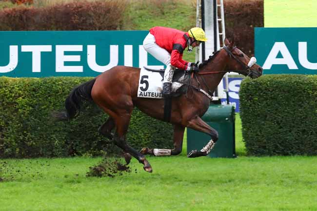 Photo d'arrivée de la course pmu PRIX NUPSALA à AUTEUIL le Dimanche 8 décembre 2024