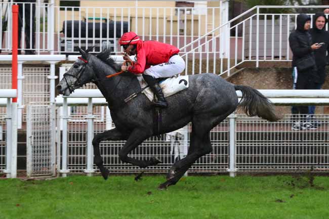 Photo d'arrivée de la course pmu PRIX FRANCOIS DE PONCINS à AUTEUIL le Dimanche 8 décembre 2024