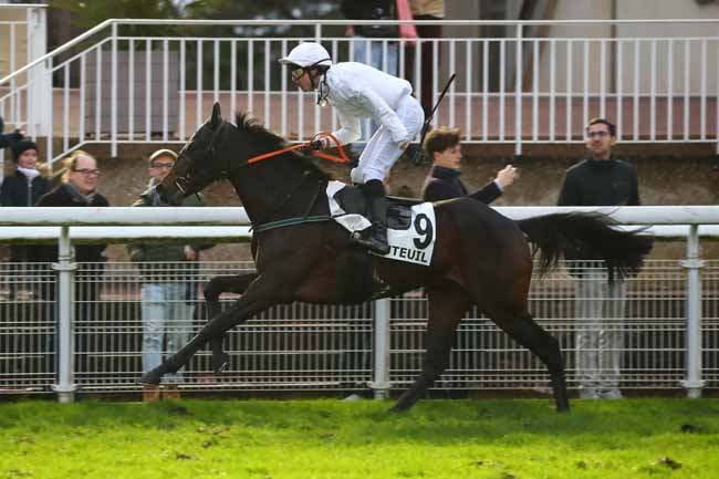 Photo d'arrivée de la course pmu PRIX FIFRELET à AUTEUIL le Dimanche 8 décembre 2024