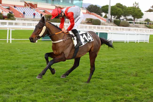 Arrivée quinté pmu PRIX DE LA PROMENADE DES ANGLAIS à CAGNES-SUR-MER