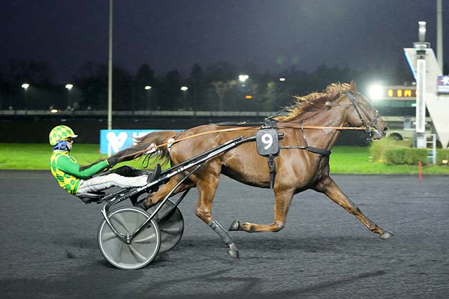 Photo d'arrivée de la course pmu PRIX DE GUERET à PARIS-VINCENNES le Mardi 10 décembre 2024