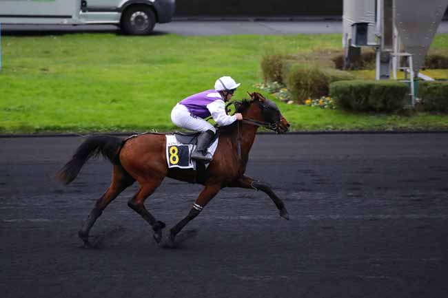 Photo d'arrivée de la course pmu PRIX DE VALDAMPIERRE à PARIS-VINCENNES le Mercredi 11 décembre 2024