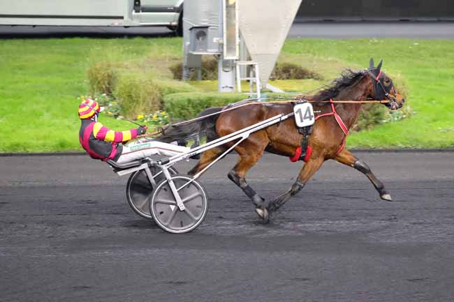 Photo d'arrivée de la course pmu PRIX DE MERAL à PARIS-VINCENNES le Mercredi 11 décembre 2024