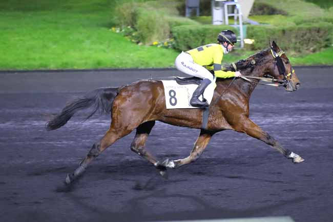 Photo d'arrivée de la course pmu PRIX AUGUSTE FRANCOIS à PARIS-VINCENNES le Mercredi 11 décembre 2024