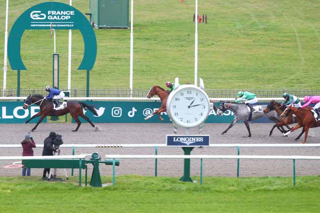 Photo d'arrivée de la course pmu PRIX DE WATERMAEL-BOITSFORT à CHANTILLY le Jeudi 12 décembre 2024
