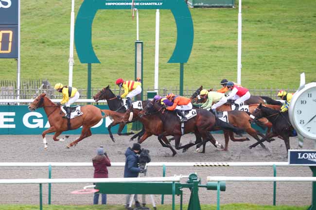 Photo d'arrivée de la course pmu PRIX DES JARDINS FAMILIAUX à CHANTILLY le Jeudi 12 décembre 2024
