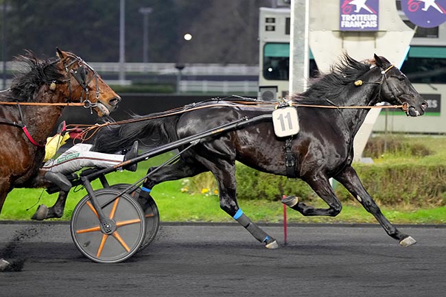 Photo d'arrivée de la course pmu PRIX DE LUSSAC à PARIS-VINCENNES le Jeudi 12 décembre 2024