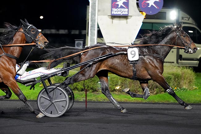 Photo d'arrivée de la course pmu PRIX DE COGOLIN à PARIS-VINCENNES le Jeudi 12 décembre 2024