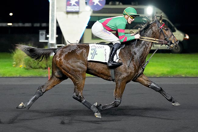 Photo d'arrivée de la course pmu PRIX DE LANGON à PARIS-VINCENNES le Jeudi 12 décembre 2024