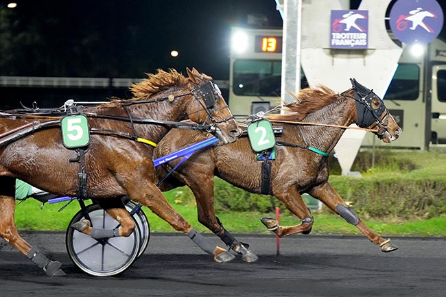 Photo d'arrivée de la course pmu PRIX DE SAINT-MALO à PARIS-VINCENNES le Jeudi 12 décembre 2024
