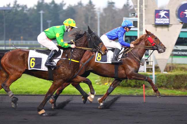 Photo d'arrivée de la course pmu PRIX D'ALES à PARIS-VINCENNES le Vendredi 13 décembre 2024