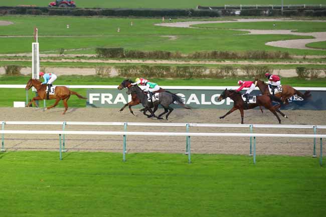 Photo d'arrivée de la course pmu PRIX DES MEULIERES à DEAUVILLE le Vendredi 13 décembre 2024