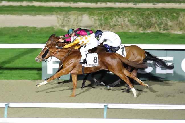 Photo d'arrivée de la course pmu PRIX DU HAUT GUE à DEAUVILLE le Vendredi 13 décembre 2024