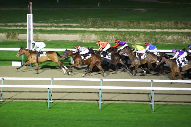 Photo d'arrivée de la course pmu PRIX DES CHAUMINES à DEAUVILLE le Vendredi 13 décembre 2024