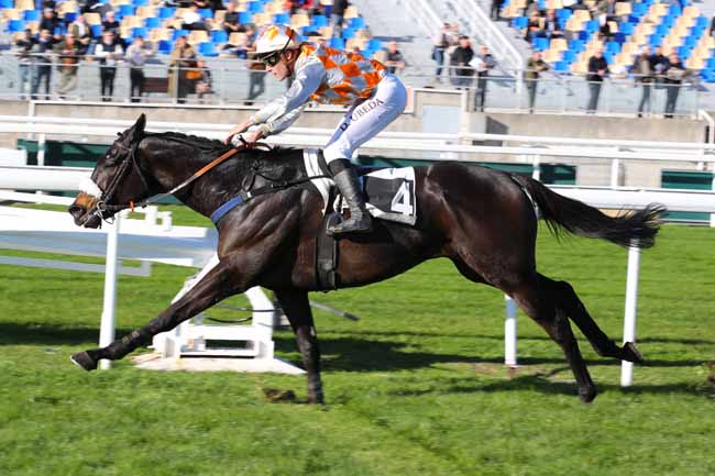 Photo d'arrivée de la course pmu PRIX DU BREIL à CAGNES-SUR-MER le Lundi 16 décembre 2024