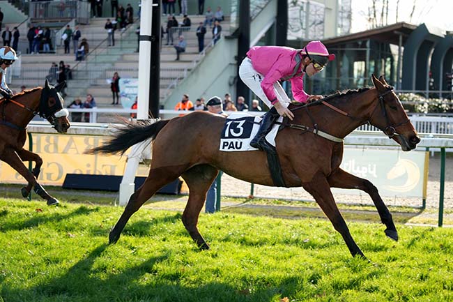Arrivée quinté pmu PRIX ETALON CASTLE DU BERLAIS - HARAS DU LION (PRIX GEORGES PASTRE) à PAU