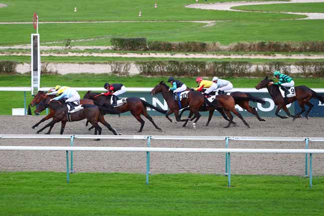 Photo d'arrivée de la course pmu PRIX DU MERLERAULT à DEAUVILLE le Mercredi 18 décembre 2024
