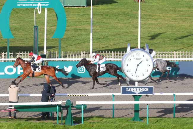 Photo d'arrivée de la course pmu PRIX DE L'ANCIEN POTAGER à CHANTILLY le Vendredi 20 décembre 2024
