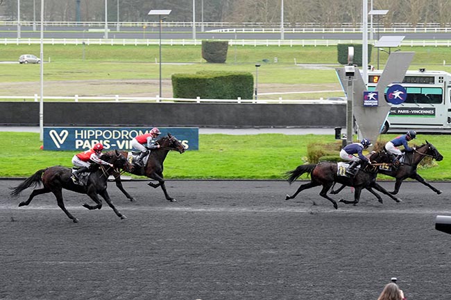 Photo d'arrivée de la course pmu PRIX DE LIMAY à PARIS-VINCENNES le Samedi 21 décembre 2024
