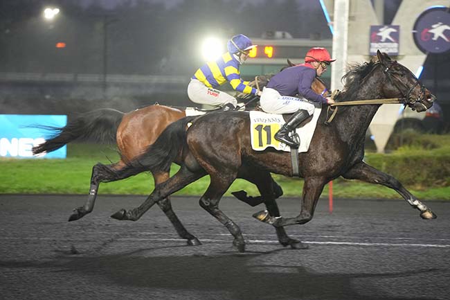 Photo d'arrivée de la course pmu PRIX DE GENCAY à PARIS-VINCENNES le Mardi 24 décembre 2024