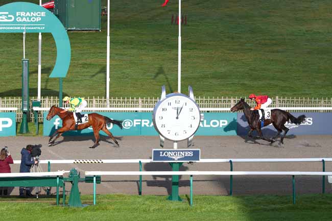 Photo d'arrivée de la course pmu PRIX DU BOIS DE LA COHARDE à CHANTILLY le Jeudi 26 décembre 2024