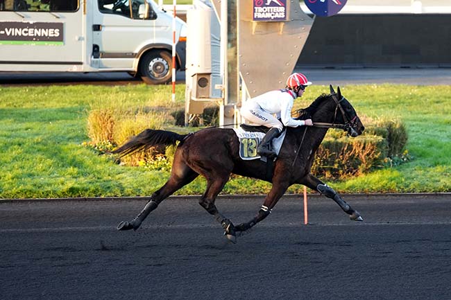 Photo d'arrivée de la course pmu PRIX DE GRETZ à PARIS-VINCENNES le Vendredi 27 décembre 2024