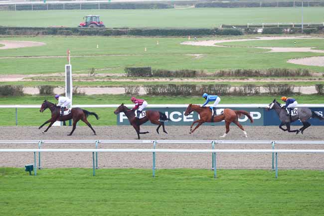 Photo d'arrivée de la course pmu PRIX DE L'HERMERAIE à DEAUVILLE le Vendredi 27 décembre 2024