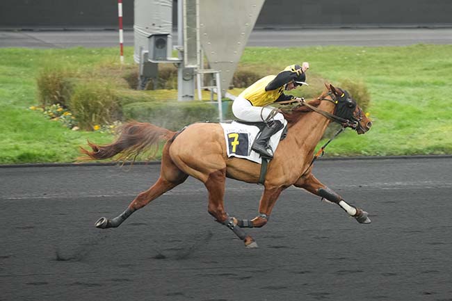 Photo d'arrivée de la course pmu PRIX DE PAVILLY à PARIS-VINCENNES le Samedi 28 décembre 2024