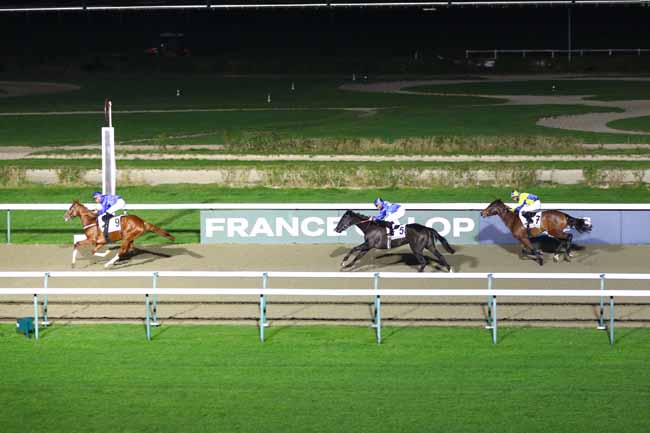 Photo d'arrivée de la course pmu PRIX DE MARTAINVILLE à DEAUVILLE le Samedi 28 décembre 2024