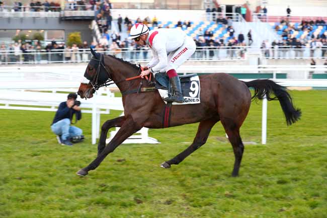 Photo d'arrivée de la course pmu PRIX DE LA BOURGOGNE à CAGNES-SUR-MER le Lundi 30 décembre 2024