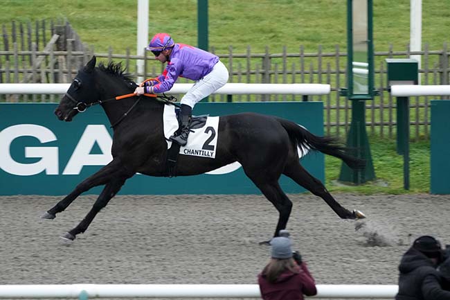 Photo d'arrivée de la course pmu PRIX DE LA PISTE SEA BIRD à CHANTILLY le Lundi 30 décembre 2024