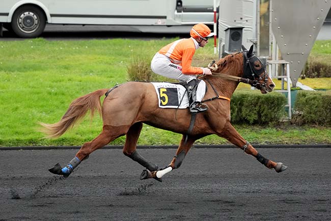 Photo d'arrivée de la course pmu PRIX DE LEZIGNAN à PARIS-VINCENNES le Mardi 31 décembre 2024