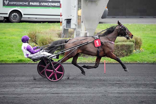 Photo d'arrivée de la course pmu PRIX DE BRIVE LA GAILLARDE à PARIS-VINCENNES le Mardi 31 décembre 2024