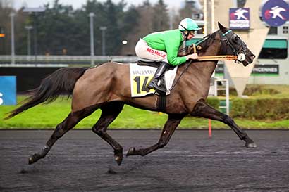 Photo d'arrivée de la course pmu PRIX DE LANNILIS à PARIS-VINCENNES le Mardi 31 décembre 2024