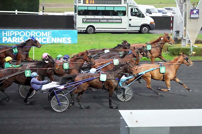 Photo d'arrivée de la course pmu PRIX DE TENCE à PARIS-VINCENNES le Mercredi 1 janvier 2025