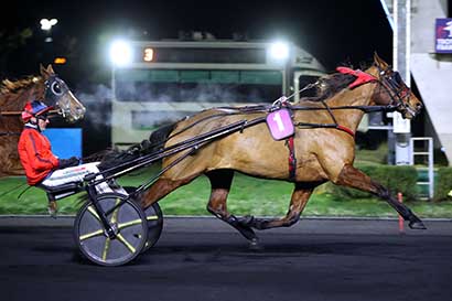 Arrivée quinté pmu PRIX DE LIMOURS à PARIS-VINCENNES