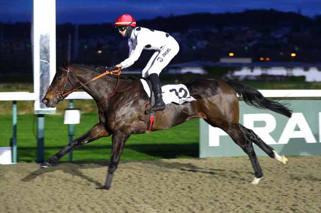 Photo d'arrivée de la course pmu PRIX DE LA SEULETTE à DEAUVILLE le Vendredi 3 janvier 2025