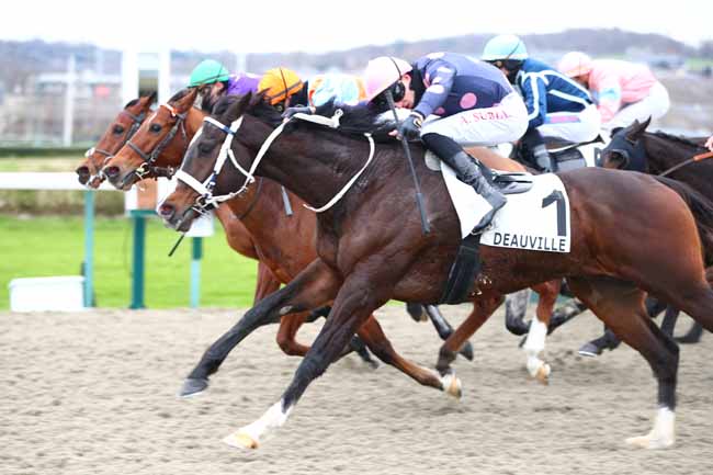 Photo d'arrivée de la course pmu PRIX DU HOME à DEAUVILLE le Samedi 4 janvier 2025