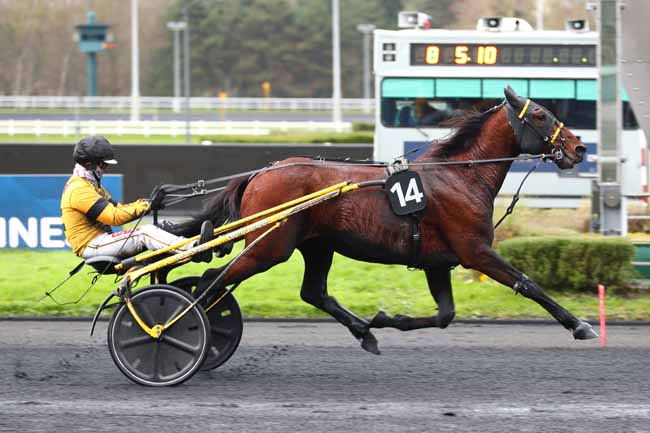 Photo d'arrivée de la course pmu PRIX D'ETREPAGNY à PARIS-VINCENNES le Dimanche 5 janvier 2025