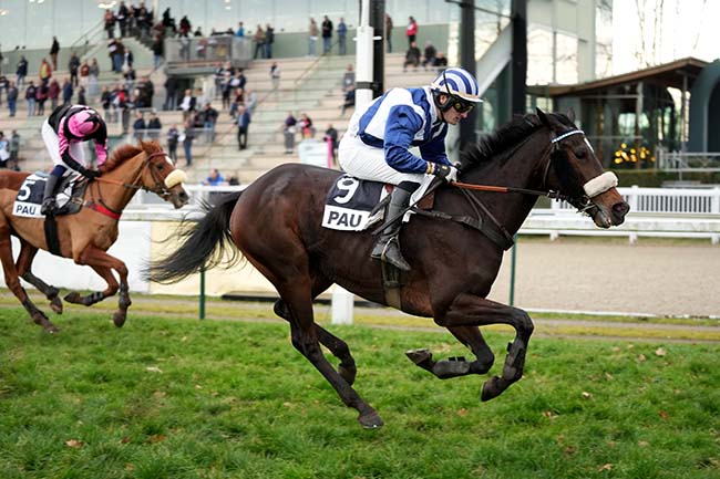 Photo d'arrivée de la course pmu PRIX ETALON CHAMAKO (COUPE DES ANGLO-ARABES - GRANDE COURSE HAIES DES 4 ANS) à PAU le Mercredi 8 janvier 2025