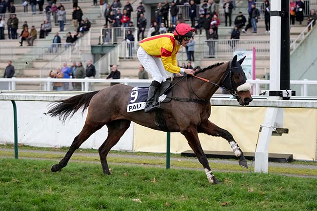 Arrivée quinté pmu PRIX AUGUSTE DE CASTELBAJAC à PAU